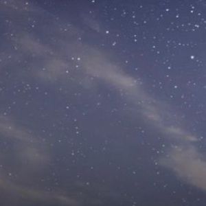 Meet your Posher, Norma